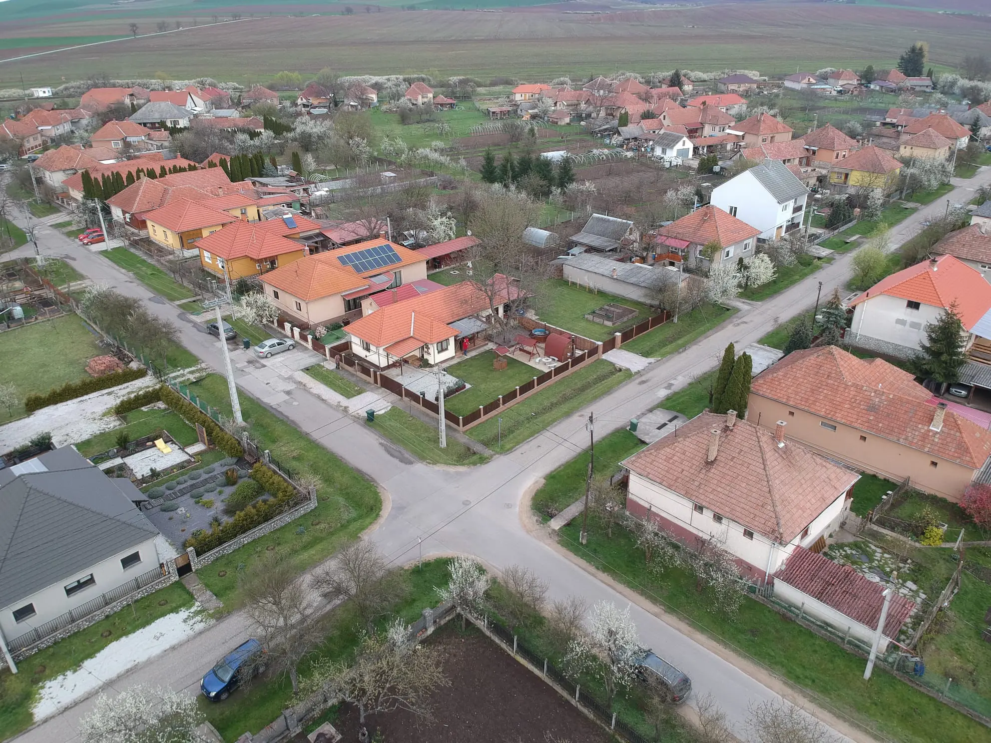 Diófa apartman dézsa